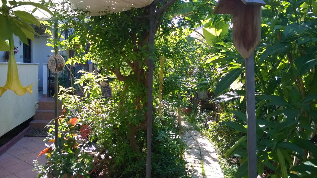 B&B Mare E Sole Brindisi Eksteriør billede